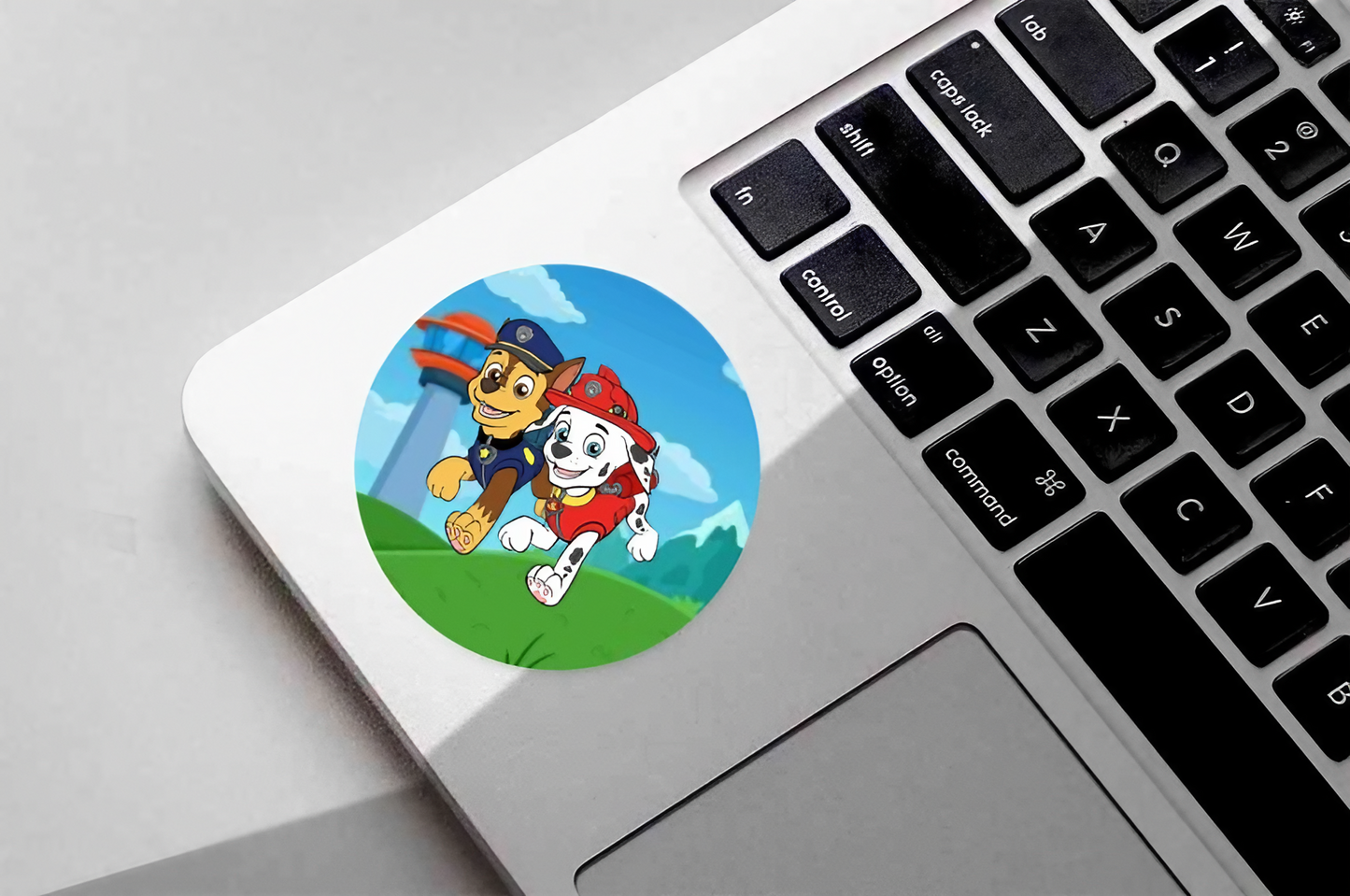 Paw Patrol |  Dental Stickers (Quantity 480)