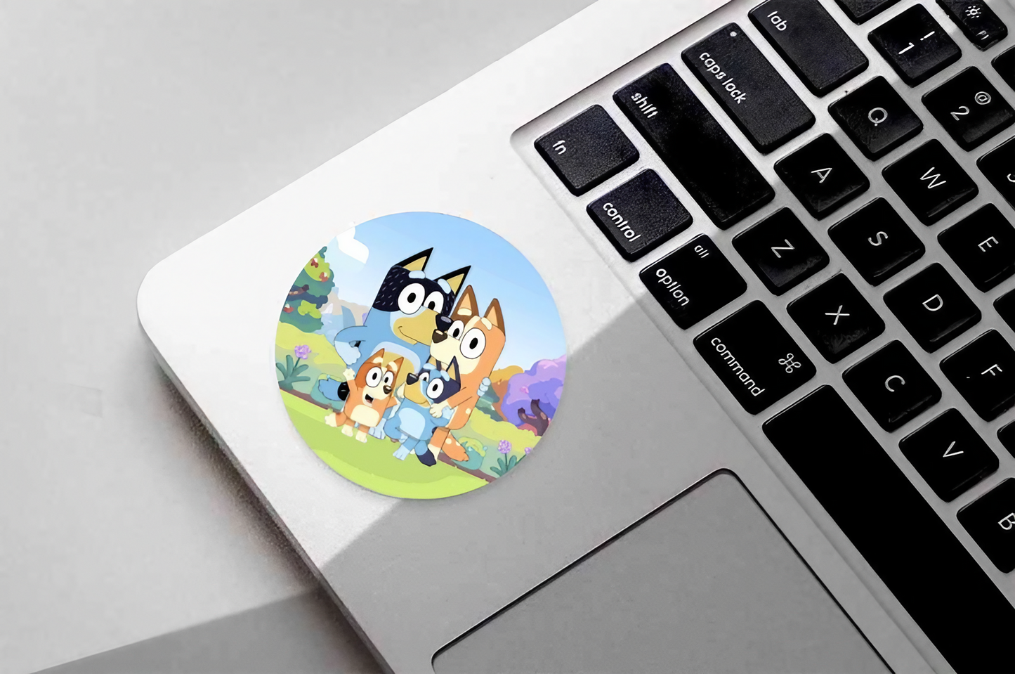 Bluey | Dental Stickers (Quantity 480)