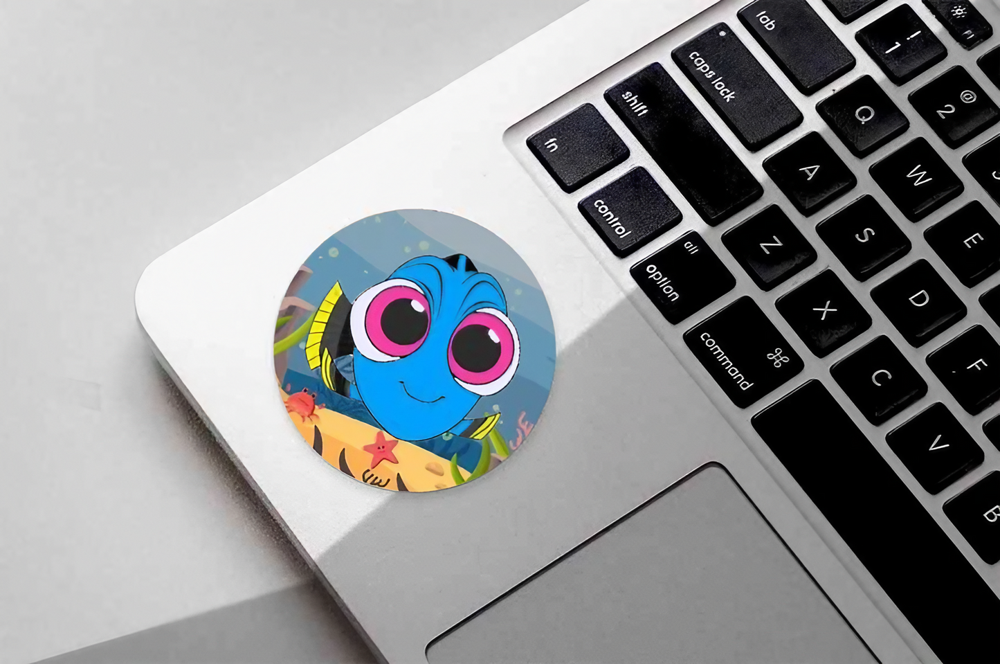 Nemo | Dental Stickers (Quantity 480)