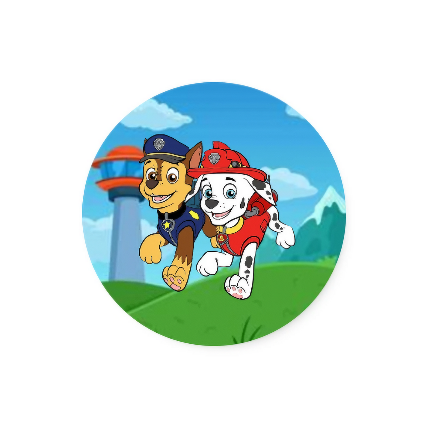 Paw Patrol |  Dental Stickers (Quantity 480)