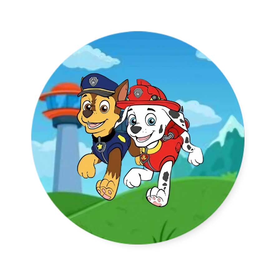 Paw Patrol |  Dental Stickers (Quantity 480)